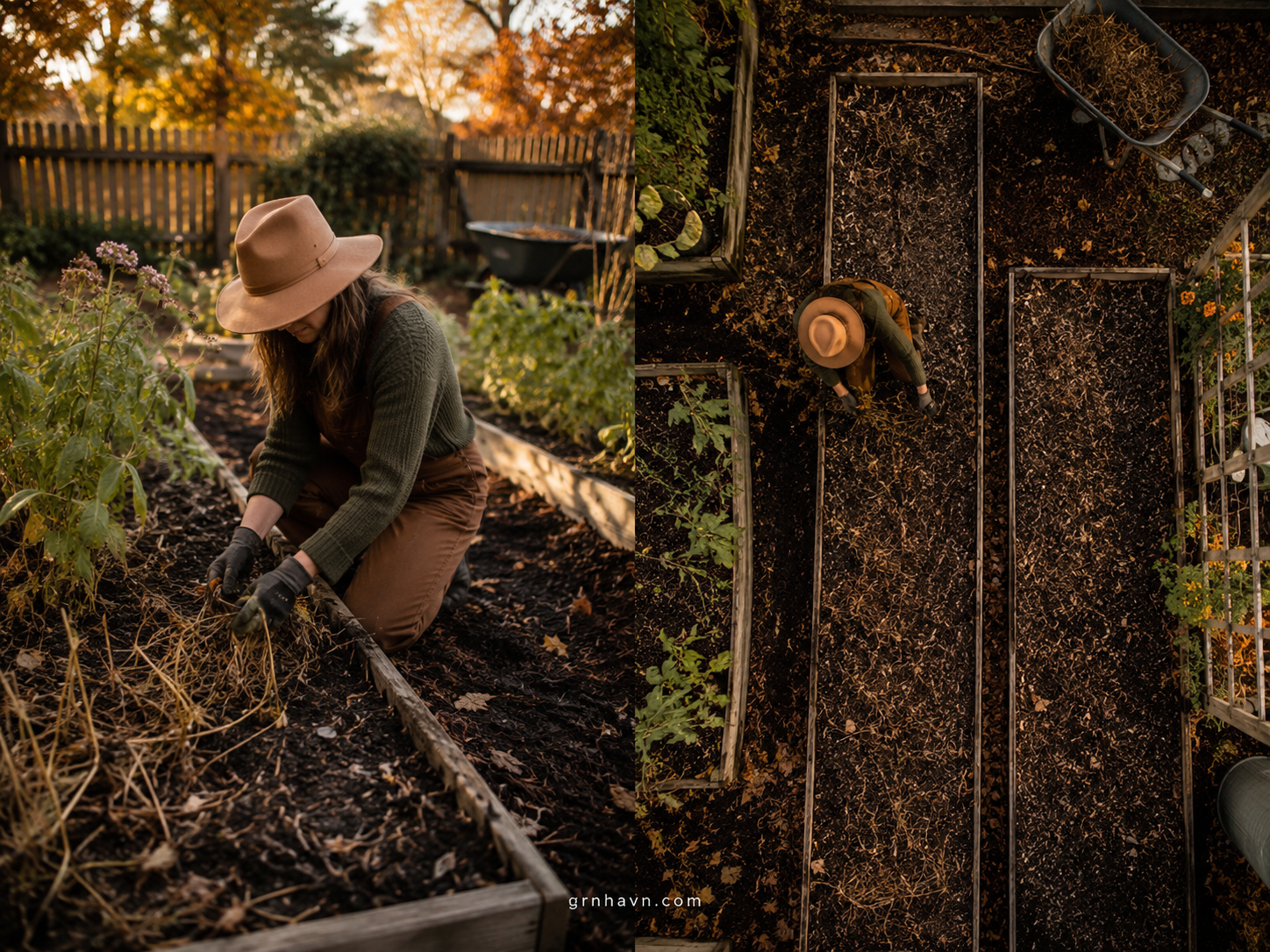 Mulched vegetable bed ready for winter