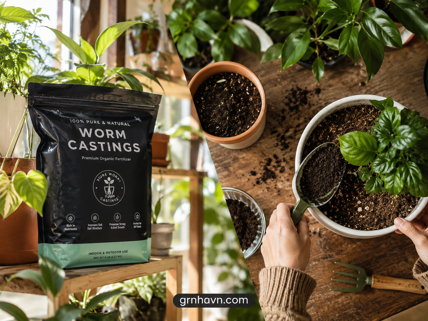 Pure and bagged worm castings for healthy container roots
