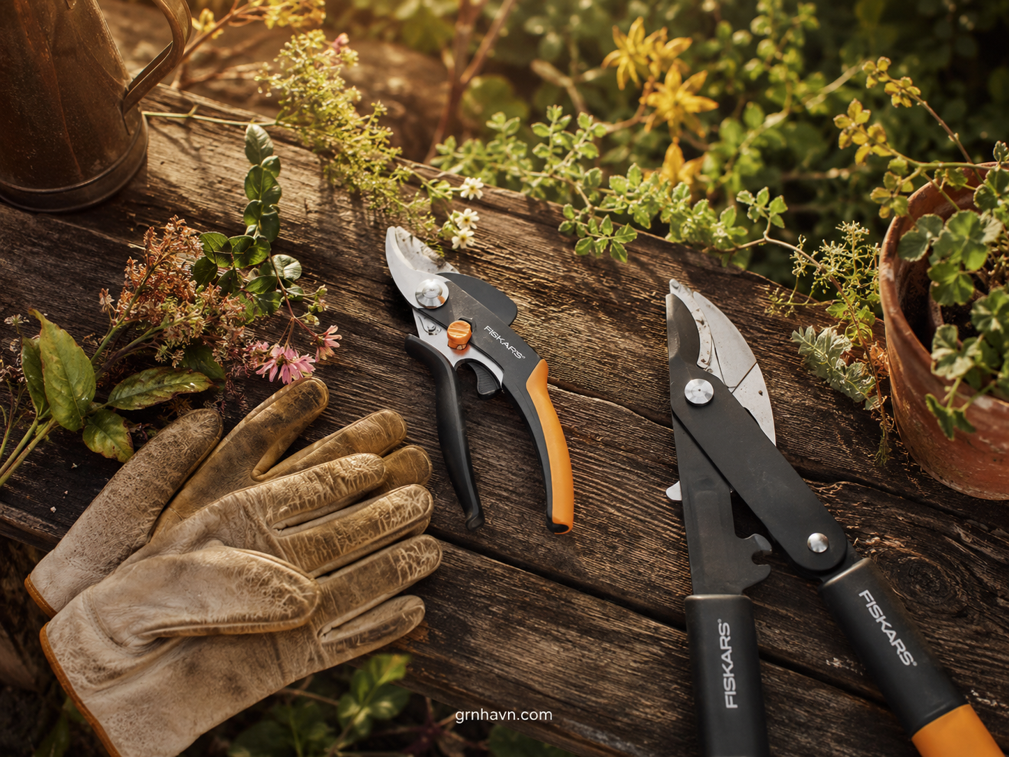 Editor's Top Picks