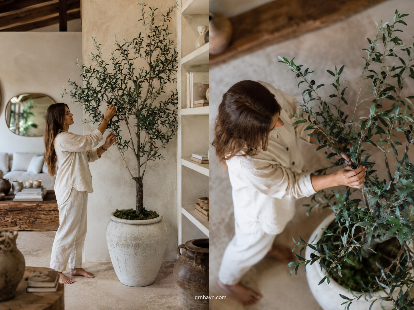 Faux Olive Tree: How to Make It Look Realistic (Pot,Light & Angle Tips)