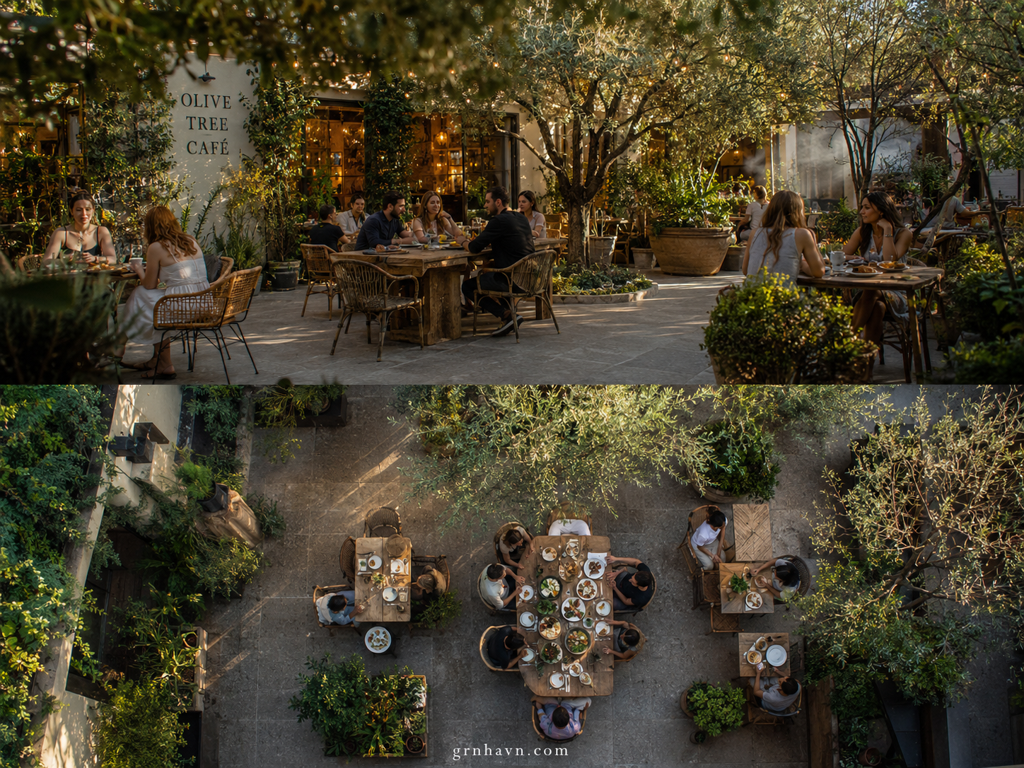 Olive Tree Cafe menu dine-in and takeout warm hospitality image