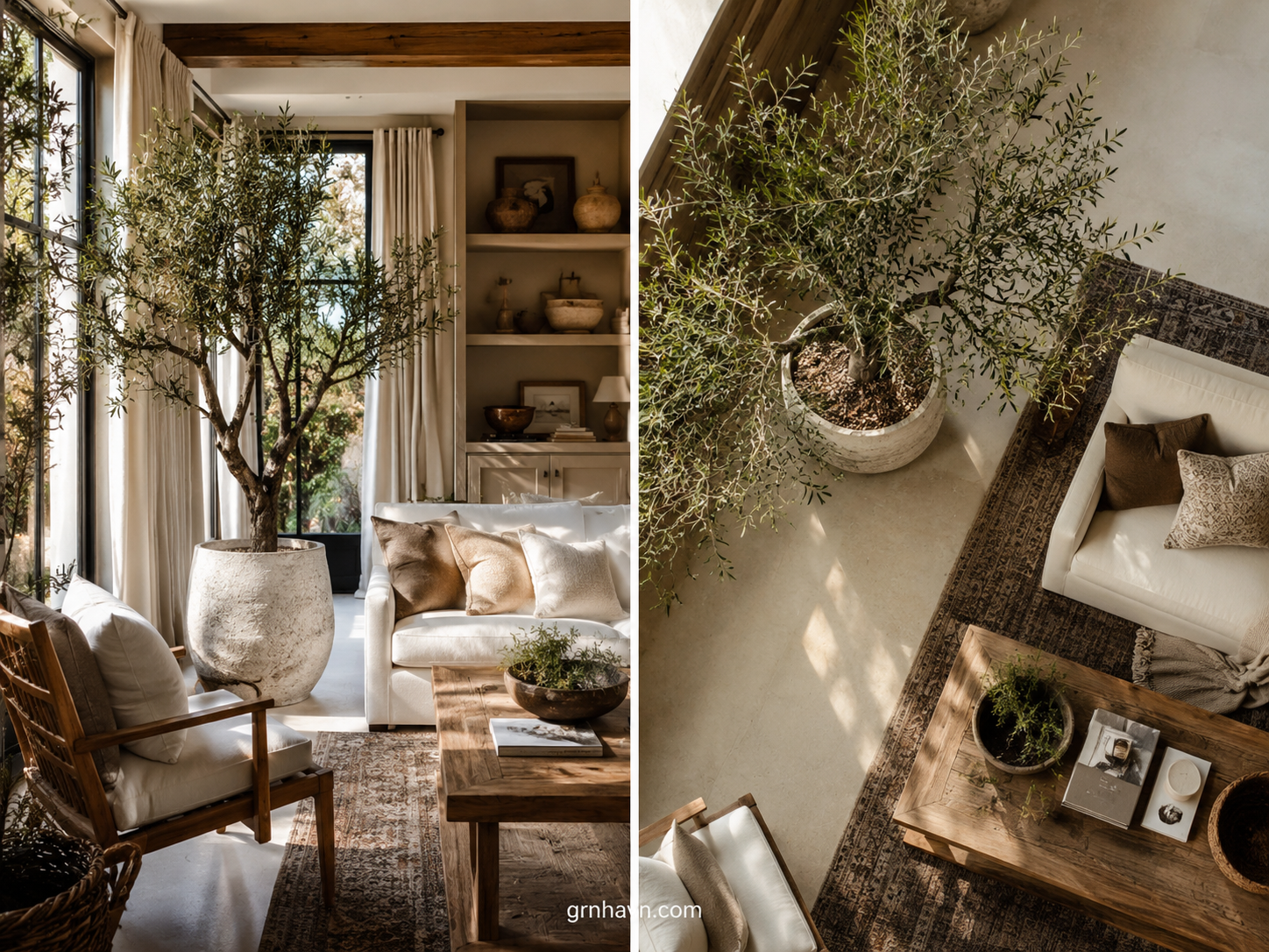 Pottery Barn Faux Potted Olive Tree: Size Guide, Styling Tips & How to Keep It Fresh