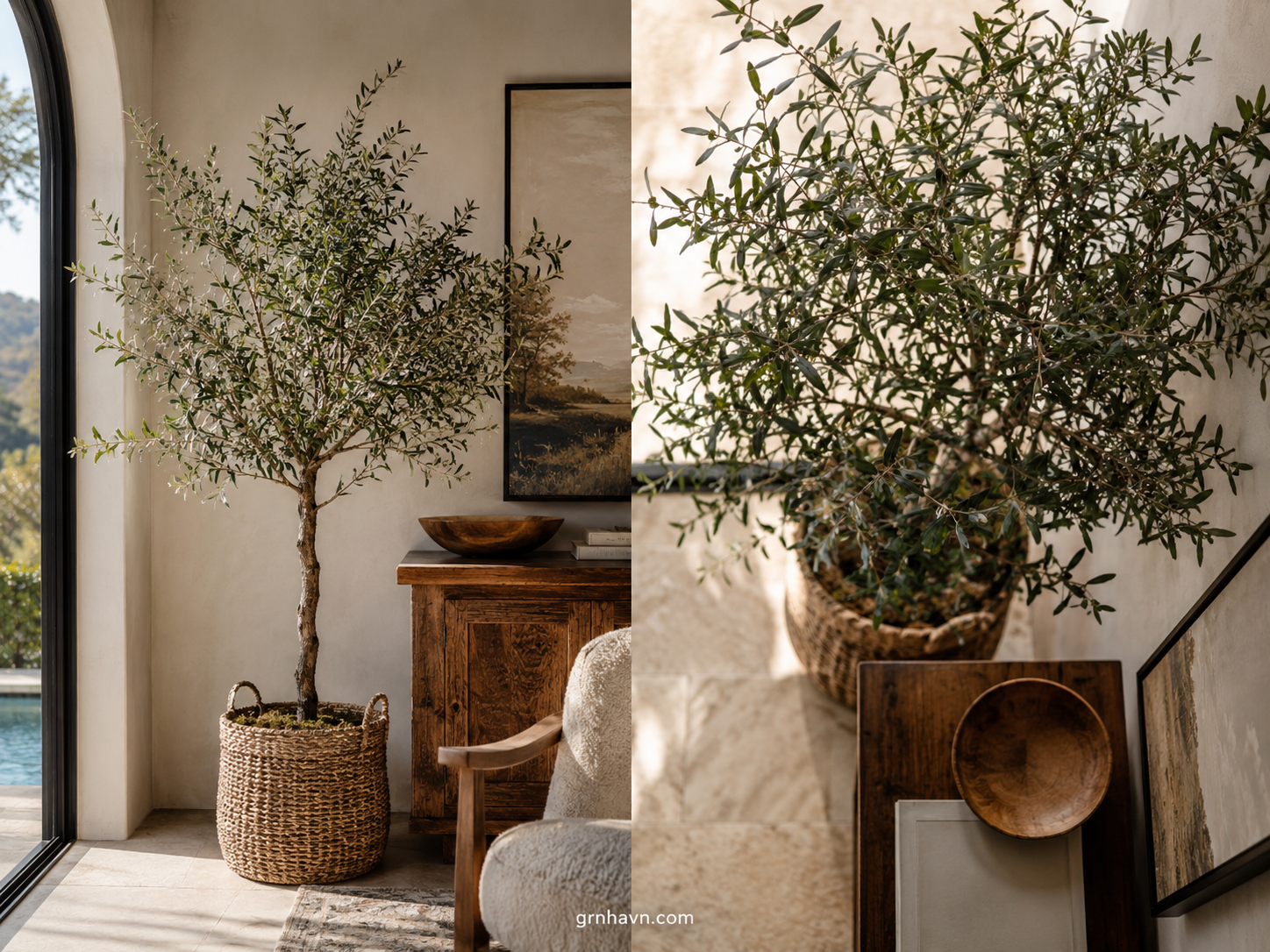 How to Choose a Faux Olive Tree That Looks Surprisingly Real