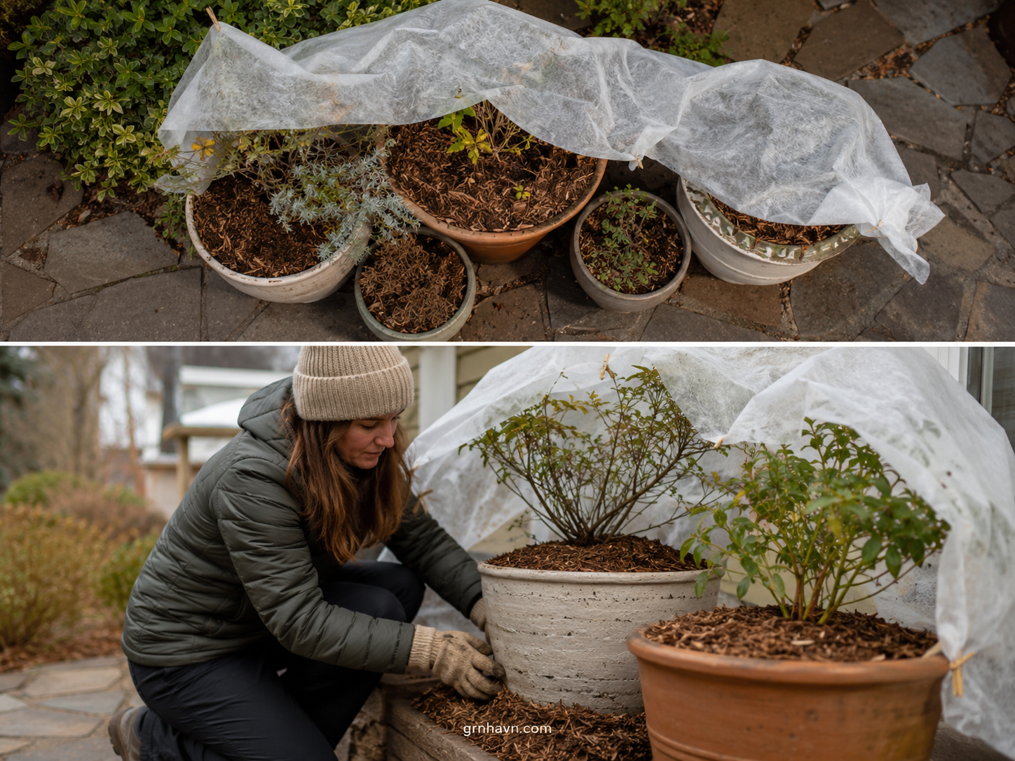 Preparing your garden for winter