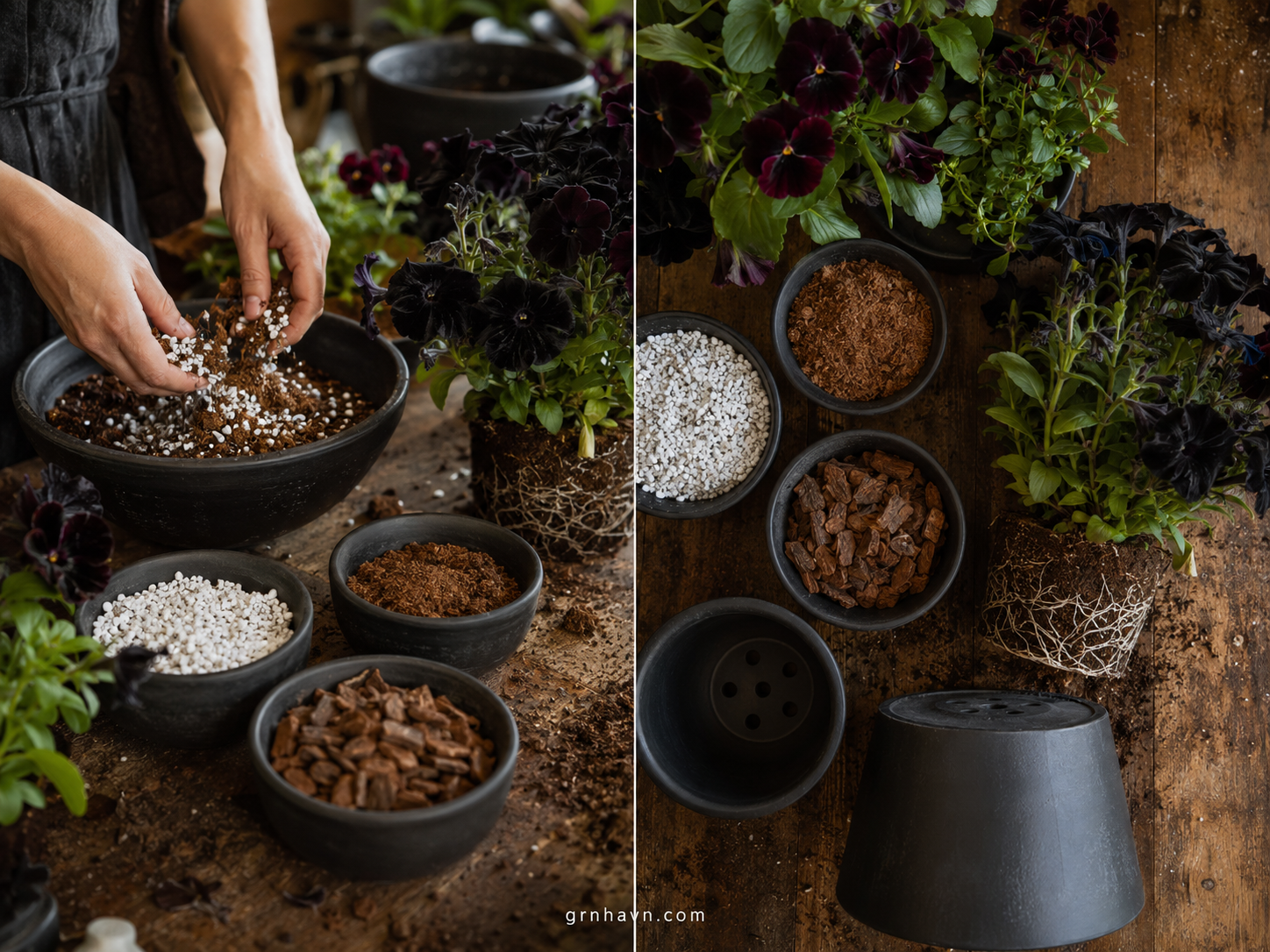 Indoor bloom system setup with drainage potting mix, LED grow light, and aphid control plan