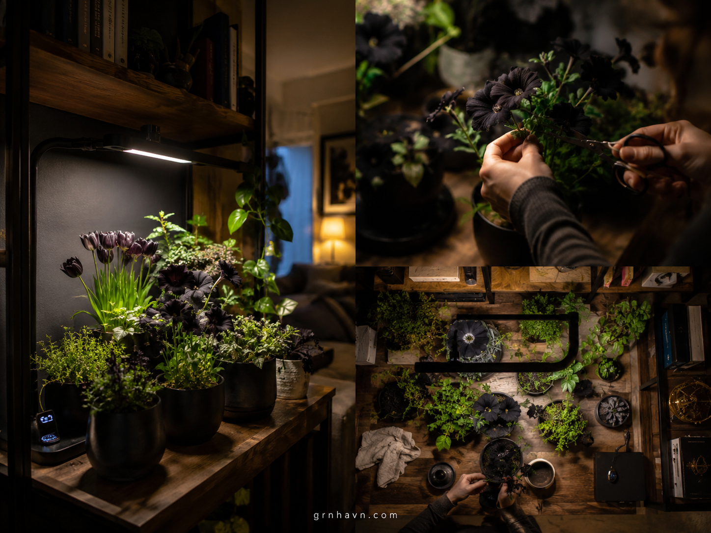 Drainage-focused potting mix blend of perlite, coco coir, and pine bark for indoor black flowers