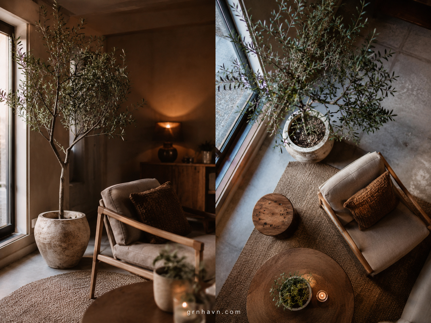 Is a Fake Olive Tree the Best Solution for Low-Light Homes